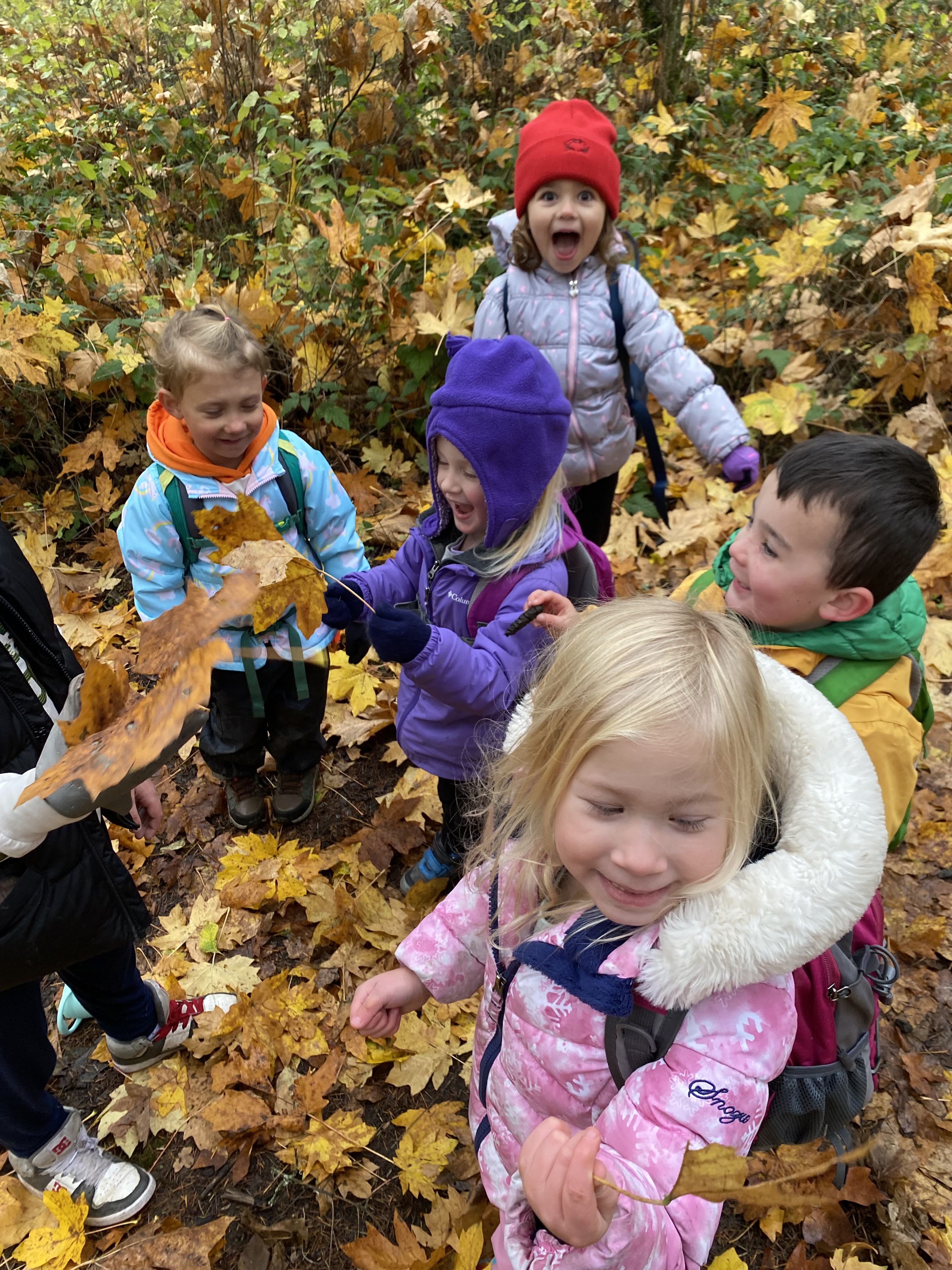 Children playing in leaves at Oregon Outdoor Kids forest preschool in Eugene, Oregon