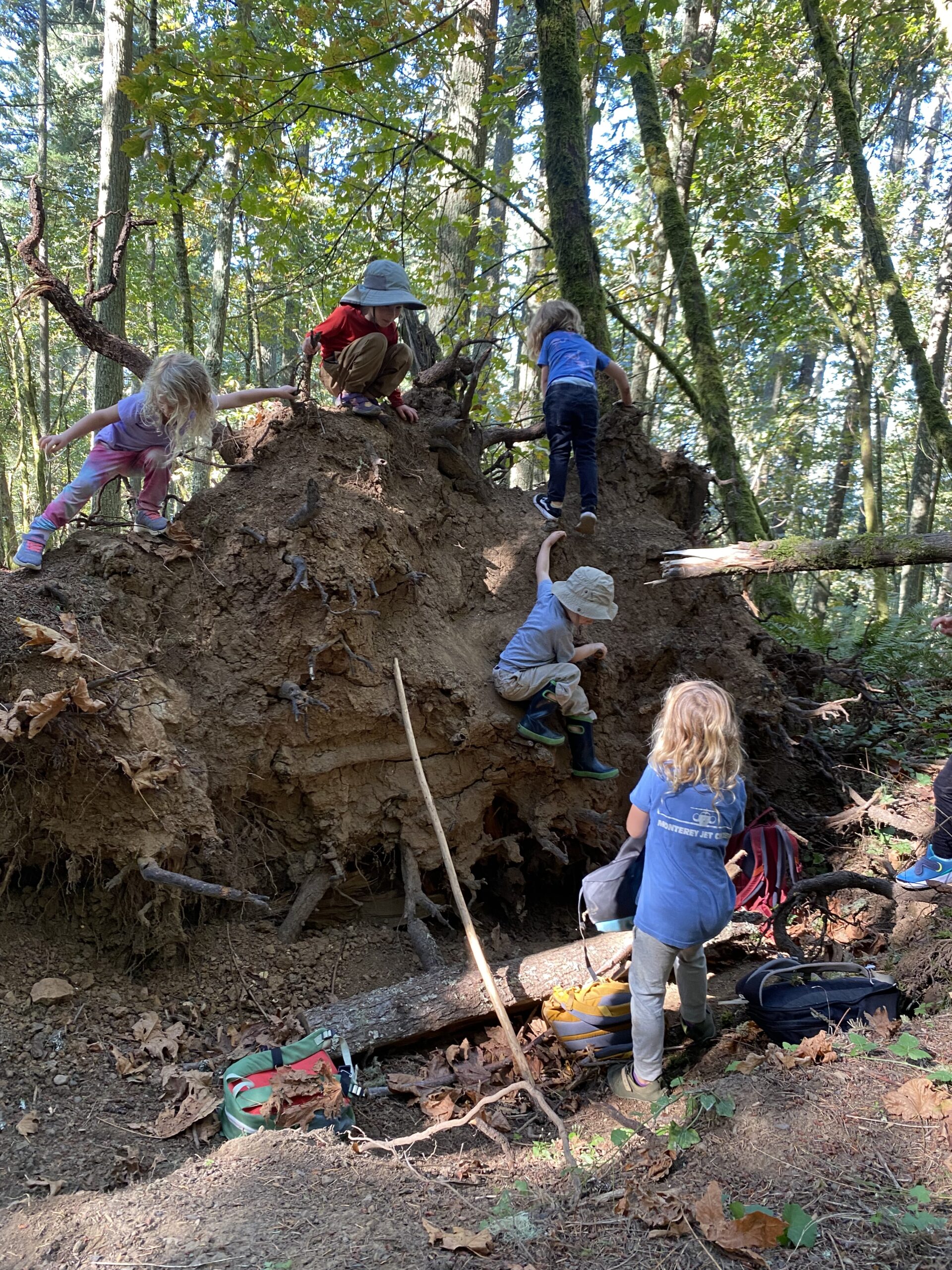 Children building confidence through outdoor exploration at an outdoor preschool in Eugene.